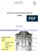 anatomiadesuperficietraxcomppptshare-110417000014-phpapp01.ppt