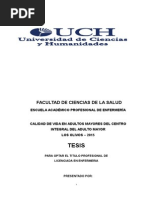 Download Tesis Calidad de Vida Del Adulto Mayor  Ultimo by als SN279558251 doc pdf
