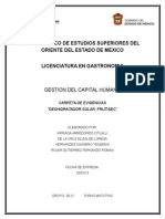 Carpeta de Evidencias Capital Humano