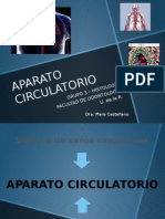 APARATO CIRCULATORIO (1) Try