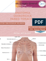 Anatomia Quirurgica