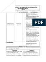 Factores de Riesgo y Emfermedades de Una Empresa de Pintado de Muebles