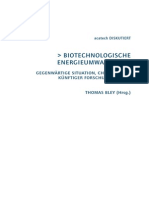 Biotechnologische Energieumwandlung - Gegenwartige Situation, Chancen Und Kunftiger Forschungs