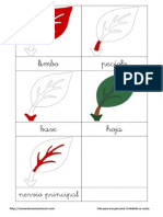 Cartas Tres Partes de La Hoja - CreciendoConMontessori