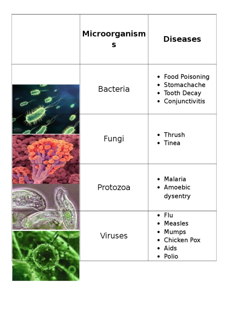 Diseases Caused by Microorganisms | PDF