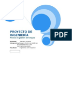 Proyecto de Ingeniería