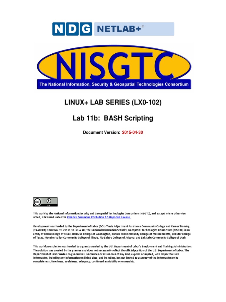 Bash Scripting | Download Free PDF | Information Technology Management ...