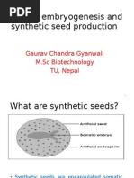 Download Somatic Embryogenesis and Artificial Seeds by Gaurav Gyanwali SN279614640 doc pdf