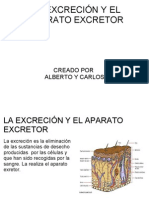 La ExcreciÓn y El Aparato Excretor