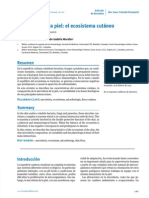 Microbiota de La Piel PDF