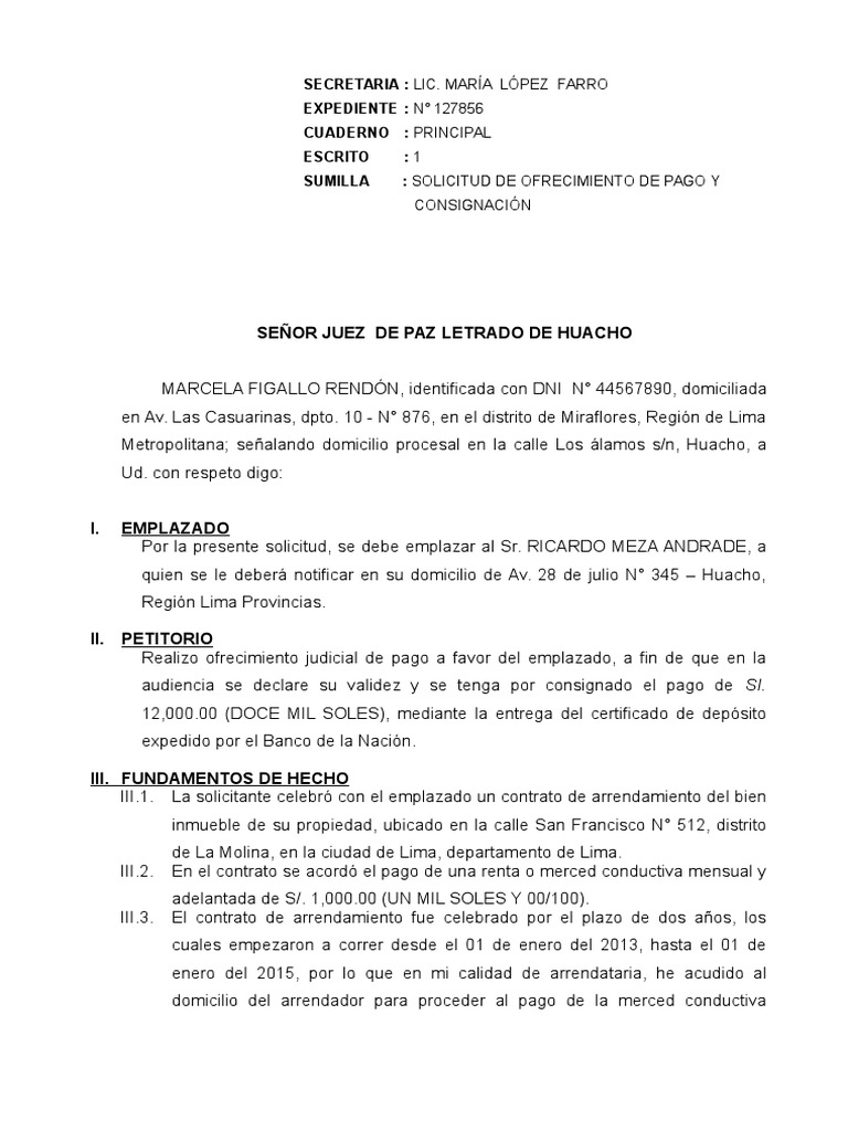Estructura Formal de Solicitud | PDF | Pagos | Gobierno