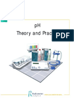 p3 Ph Theory
