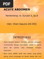 Download Acute Abdomen by winda amelia SN279660921 doc pdf