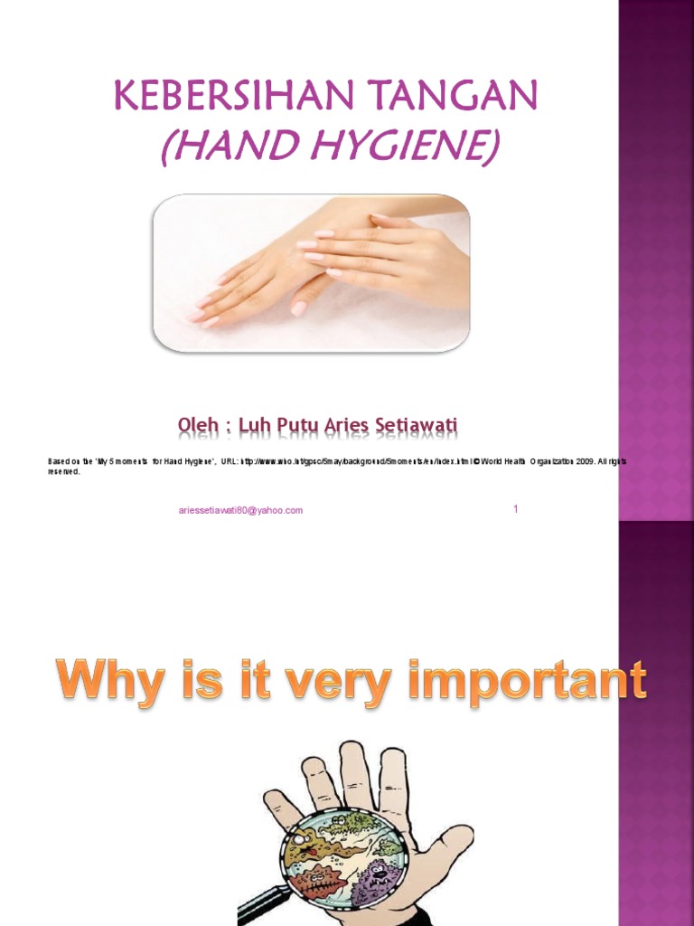 5 Moments for Effective Hand Hygiene | PDF