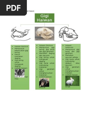 Peta Ithink Pdf