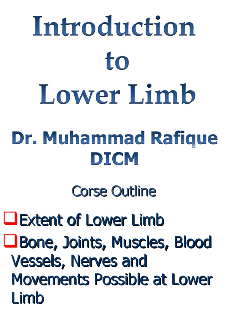 Overview of Lower Limb Anatomy | PDF | Human Leg | Knee
