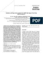 Isolation and Expression Analysis of A GDSL-like Lipase Gene From L