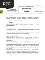 So-p-12 Procedimiento Ambiental Myn