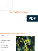 Streptococcus y Algunas Enfermedades Relacionadas