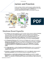 Organelle Structure and Function (A-level note)