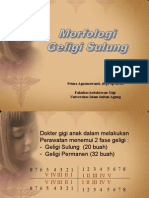 Morfologi Gigi Sulung( Blok 6)New