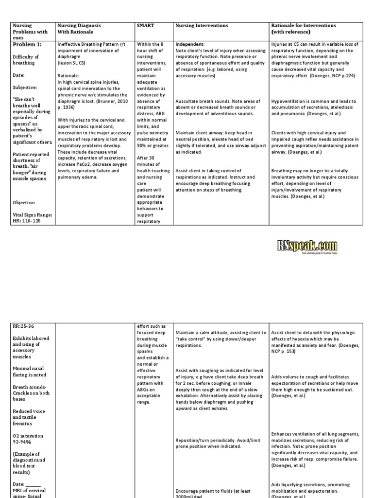 3 Spinal Cord Injury Nursing Care Plan | PDF | Breathing | Spinal Cord ...