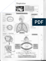 Physio Cours Livre st2s Respiration Partie 1