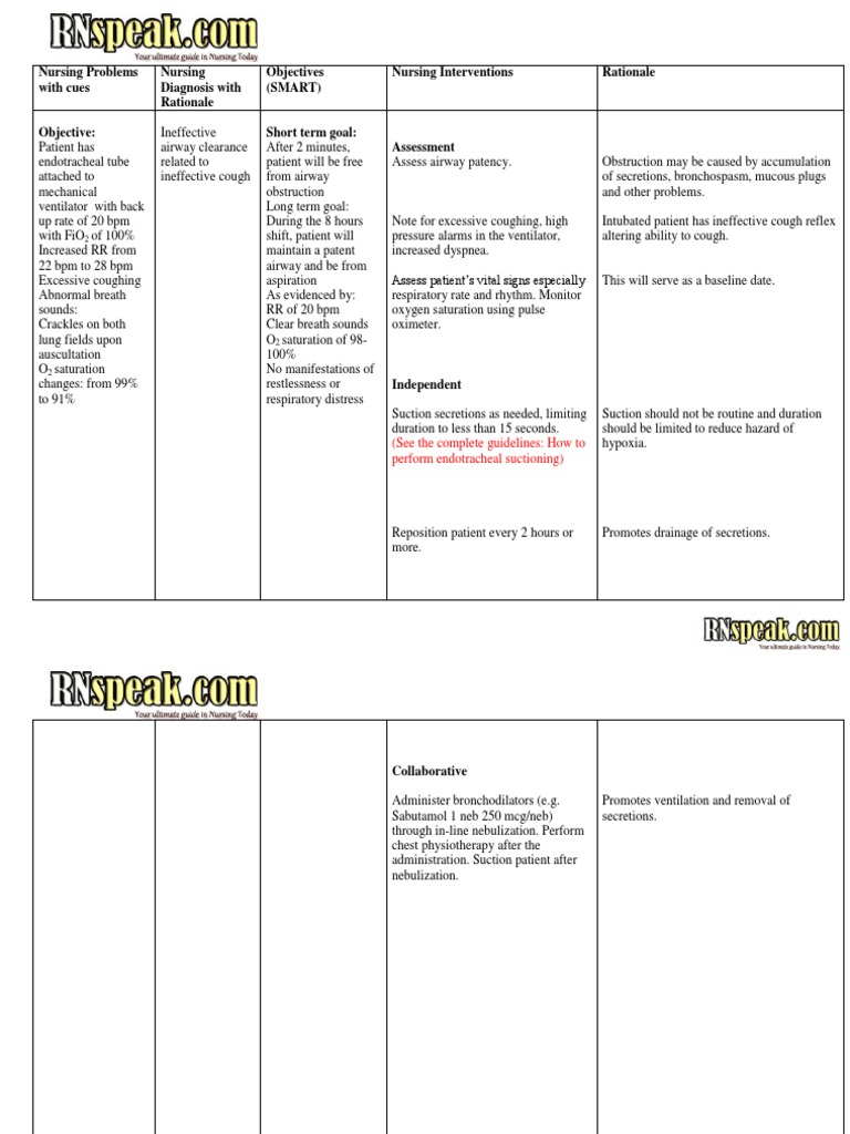 Nursing Care Plan Patient Endotracheal