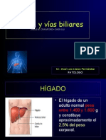 Bolo 18a Higado 2015