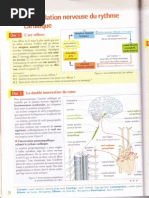 Download physio cours st2s coeur partie 2 by AE SN27976044 doc pdf