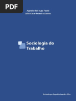 apostila OST.pdf