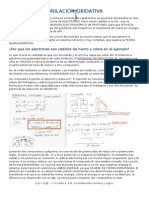 Bioquímica - Fosforilacion Oxidativa