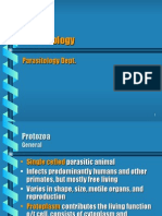 Protozoology Parasitology Dept Guide