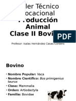 Taller Técnico Vocacional - Producción Animal - Clase II Bovinos