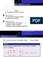 Matrice_Determinanti_Sisteme liniare.pdf