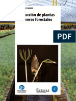 Produccion de Plantas en Viveros Forestales