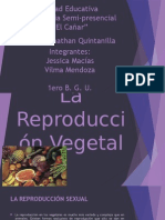 La Reproducción Vegetal