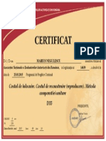 Certificat Absolvire Seminar