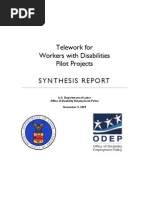 Tele Work Synthesis Report