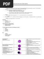 RBC Morphology and Inclusion Chart | PDF | Hematology | Pathology