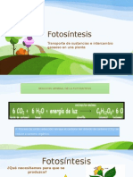 Fotosíntesis Clase 2