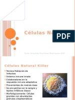 Células Natural Killer