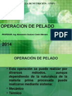 Pelado y reducción de tamaño de alimentos