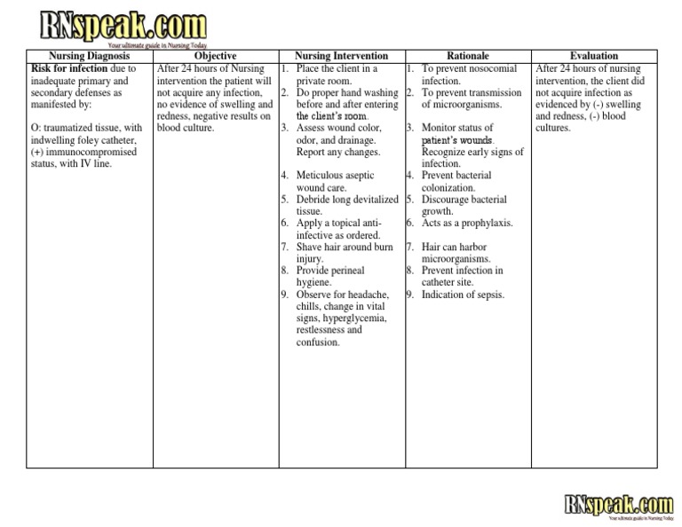 Burns Nursing Care Plan _NCP_ Risk for Infection