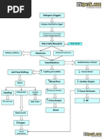 Anaphylaxis Diagram Nursing Care Plan for Hypoglycemia Hypoglycemia 