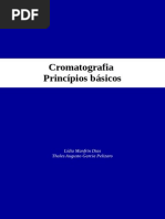 Livro-Cromatografia (Corrigido - Definitivo)