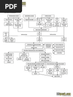 Download Ectopic Pregnancy Pathophysiology by RN Speak SN279890209 doc pdf