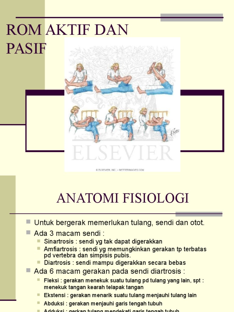 Rom Aktif Dan Pasif Rom Aktif Dan Pasif