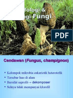 Morfologi & Fisiologi Fungi02
