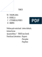Torch PDF